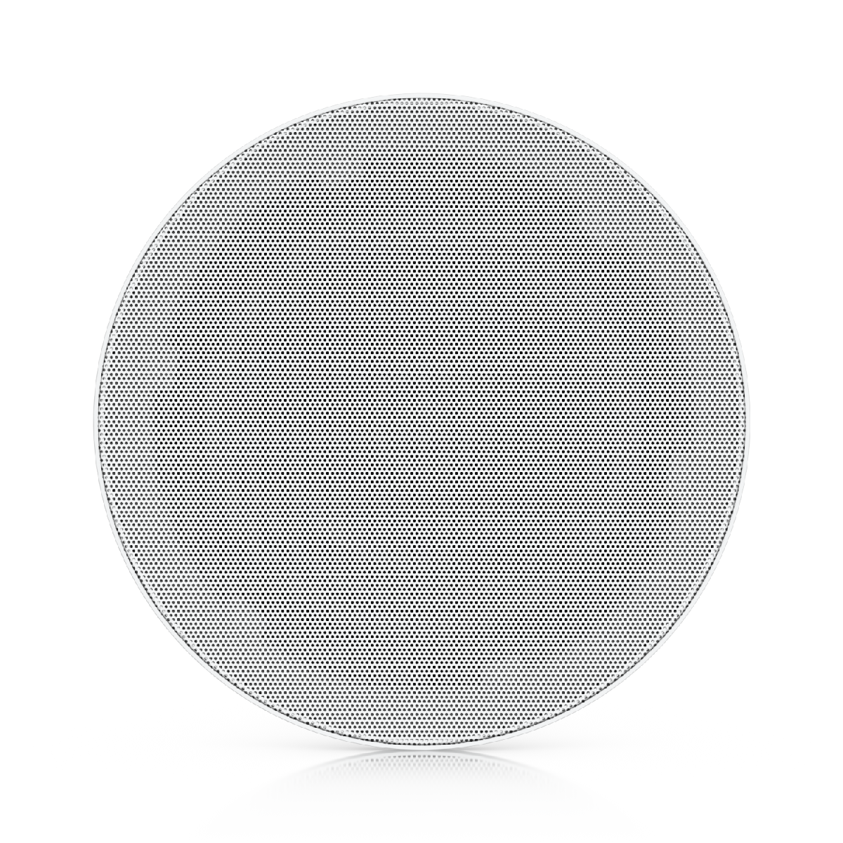In-Ceiling Speaker