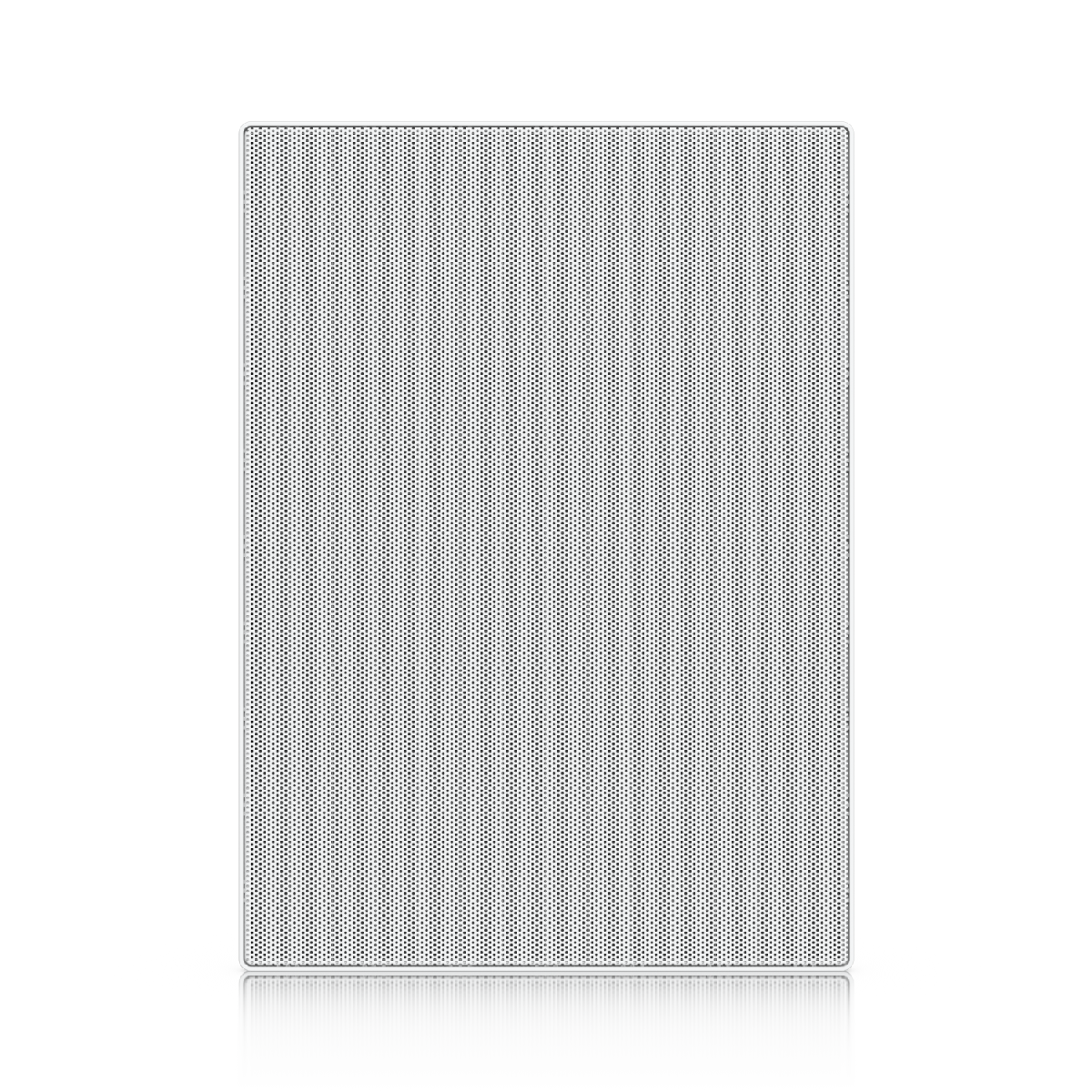 In-Wall Speaker